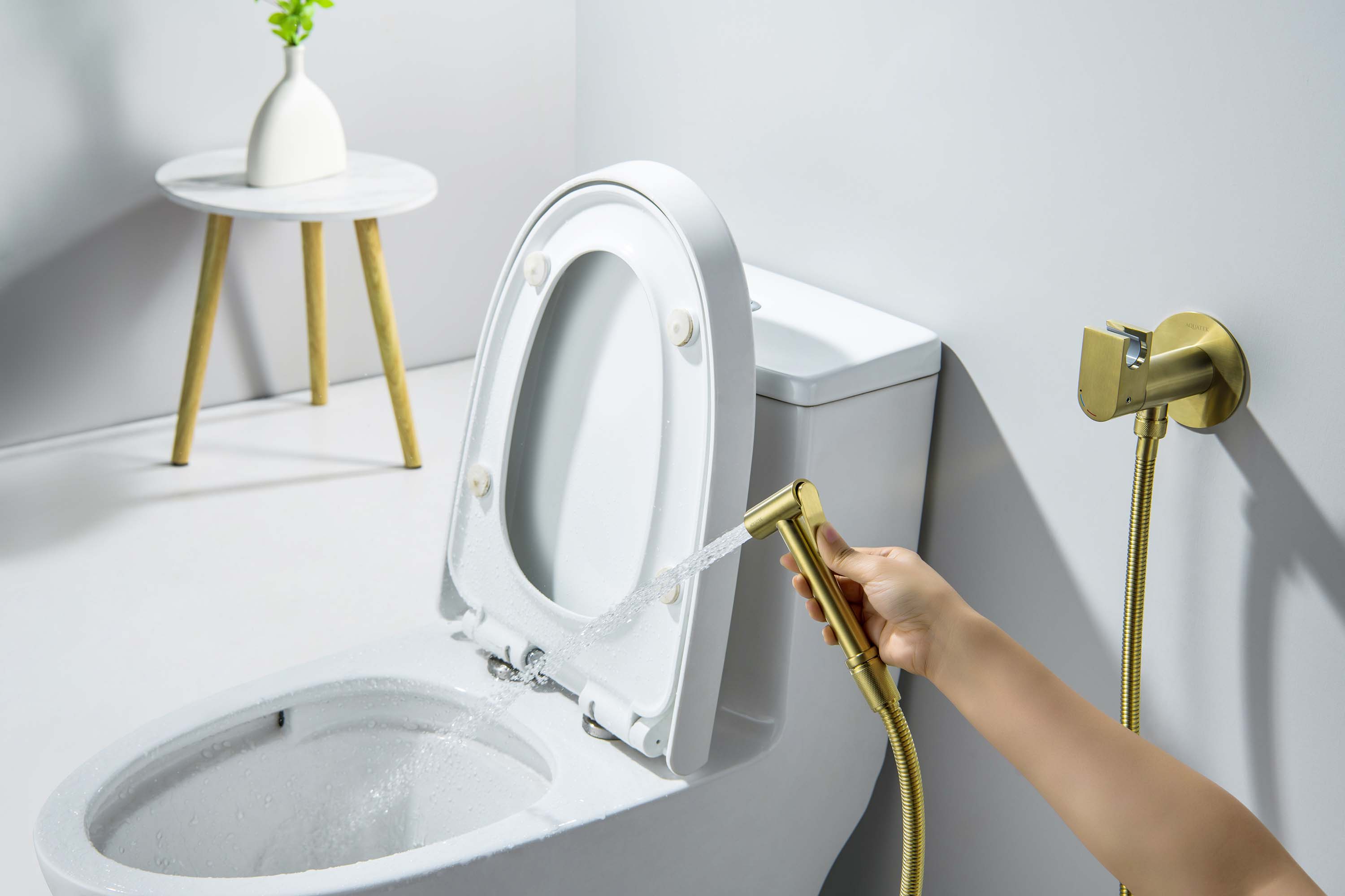 Гигиенический душ со смесителем Aquatek Оберон AQ1024BG