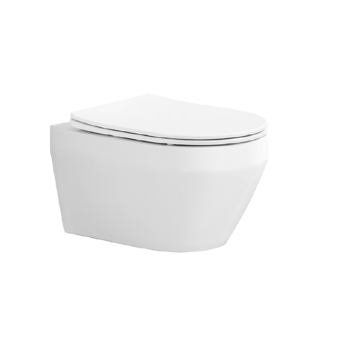 Унитаз подвесной безободковый Aquatek Лея AQ1199T-00 с сиденьем Soft Close