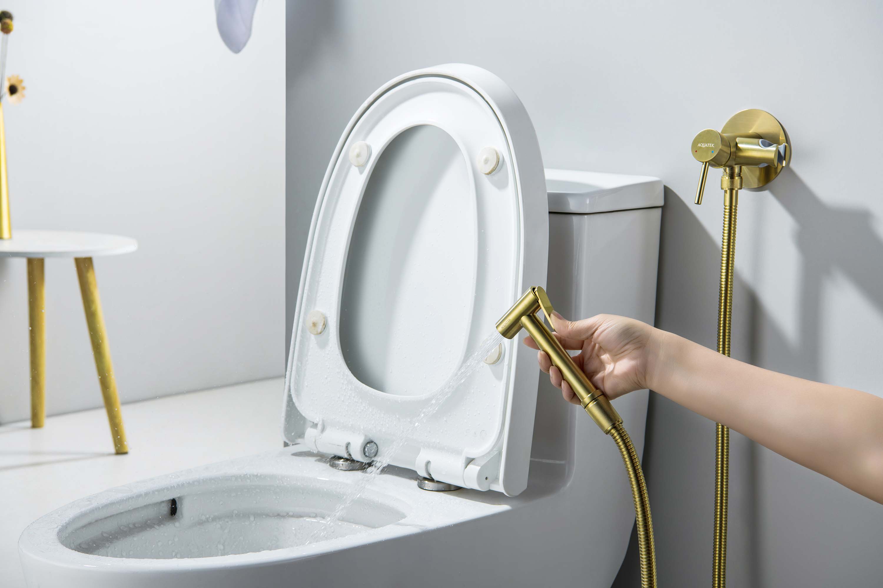 Гигиенический душ со смесителем Aquatek Европа AQ1021BG